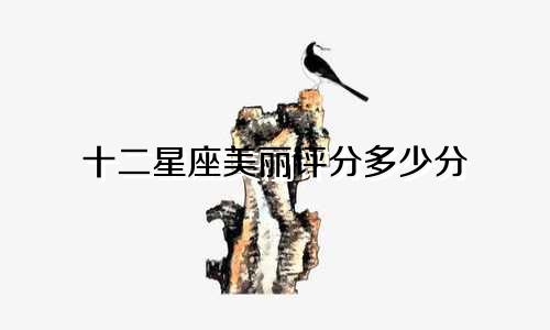 十二星座美丽评分多少分
