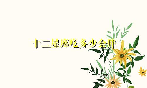 十二星座吃多少会胖