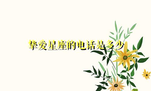 挚爱星座的电话是多少