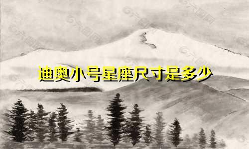 迪奥小号星座尺寸是多少