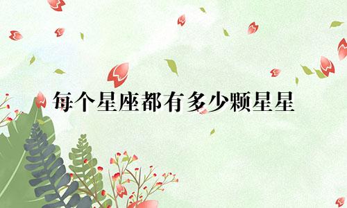 每个星座都有多少颗星星