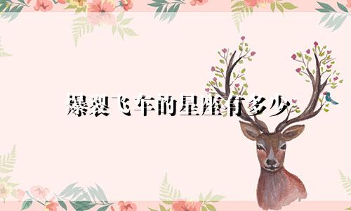 爆裂飞车的星座有多少