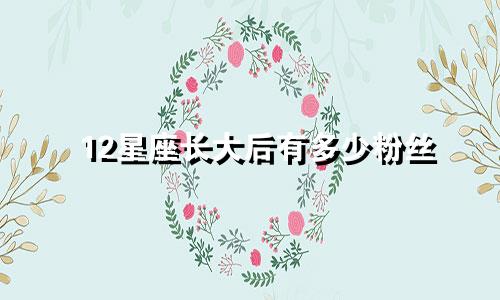 12星座长大后有多少粉丝