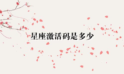 星座激活码是多少