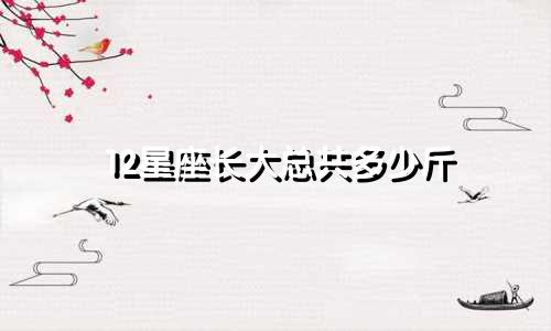 12星座长大总共多少斤