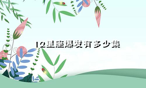 12星座爆发有多少集