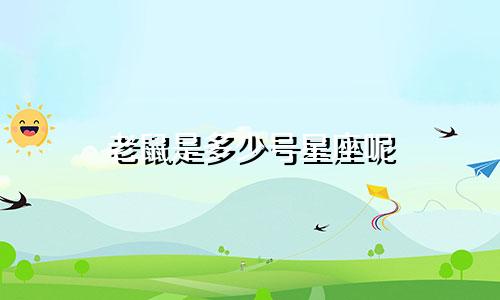 老鼠是多少号星座呢