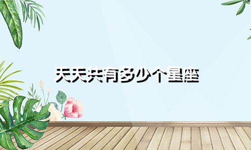 天天共有多少个星座
