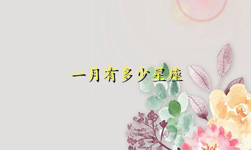 一月有多少星座