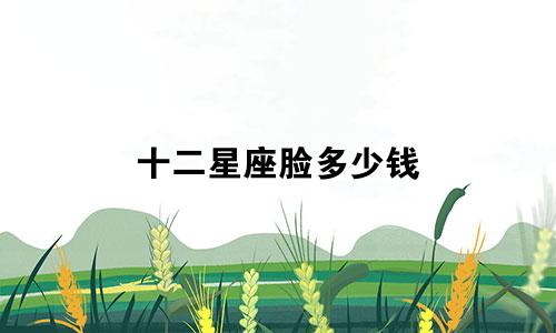 十二星座脸多少钱