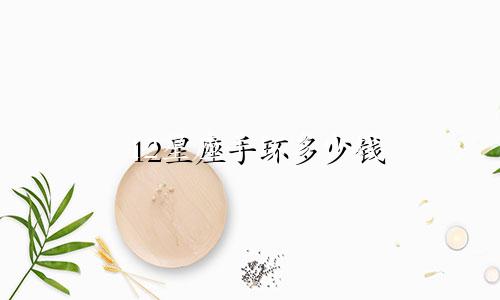 12星座手环多少钱