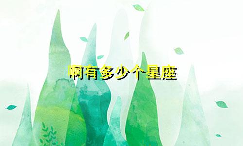 啊有多少个星座
