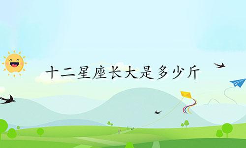 十二星座长大是多少斤