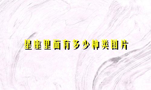 星座里面有多少种类图片