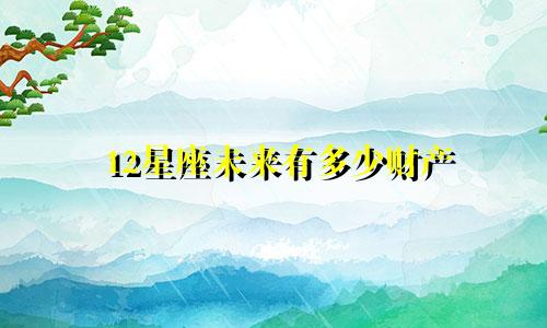 12星座未来有多少财产