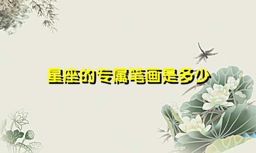星座的专属笔画是多少