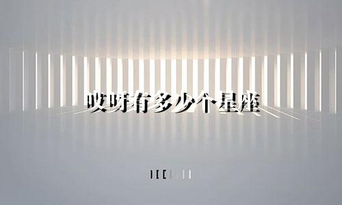 哎呀有多少个星座