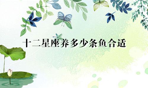 十二星座养多少条鱼合适
