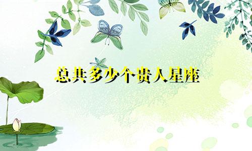 总共多少个贵人星座