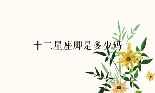 十二星座脚是多少码