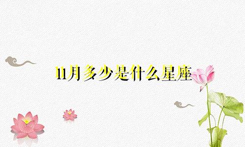 11月多少是什么星座