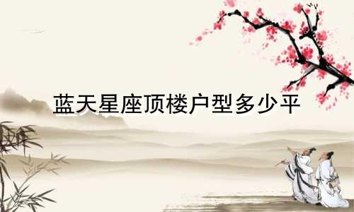 蓝天星座顶楼户型多少平