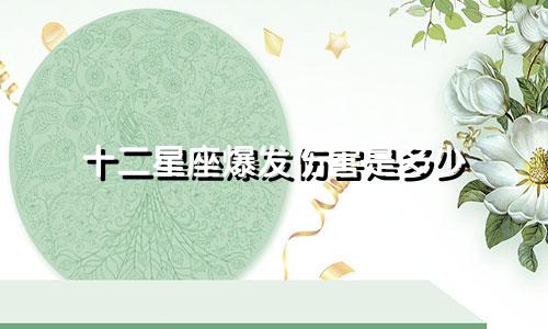 十二星座爆发伤害是多少