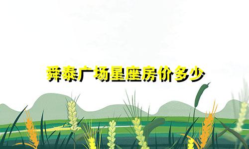 舜泰广场星座房价多少