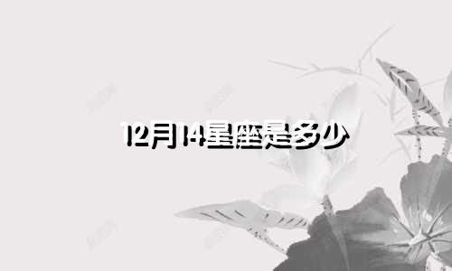 12月14星座是多少