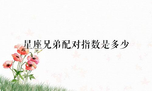 星座兄弟配对指数是多少