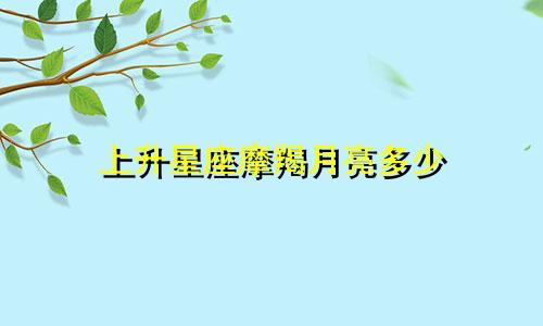 上升星座摩羯月亮多少