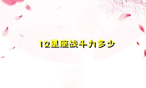12星座战斗力多少