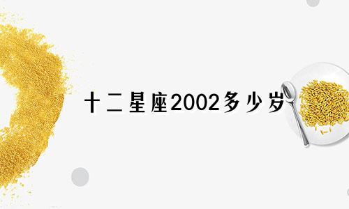 十二星座2002多少岁