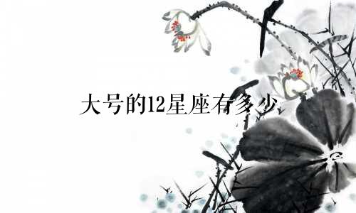 大号的12星座有多少