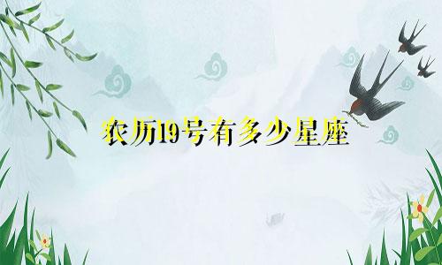 农历19号有多少星座
