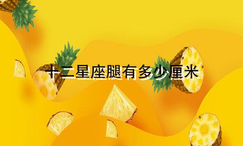 十二星座腿有多少厘米