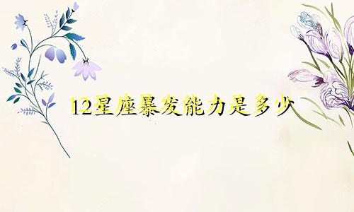 12星座暴发能力是多少