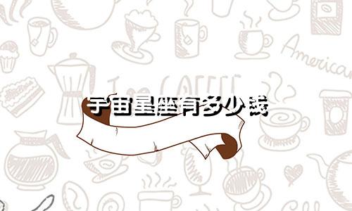 宇宙星座有多少钱