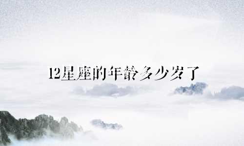 12星座的年龄多少岁了