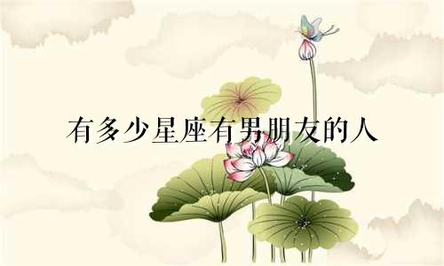 有多少星座有男朋友的人