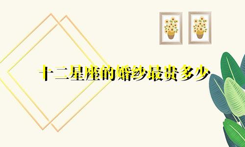 十二星座的婚纱最贵多少