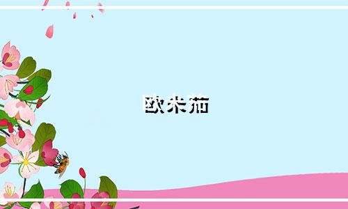 欧米茄 星座系列 多少钱