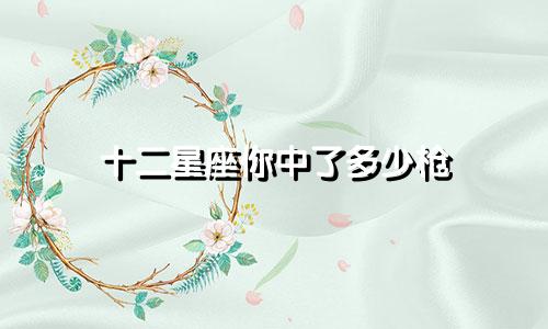 十二星座你中了多少枪