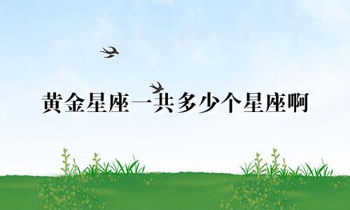 黄金星座一共多少个星座啊