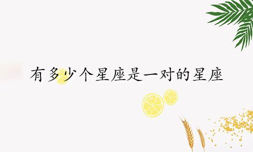 有多少个星座是一对的星座