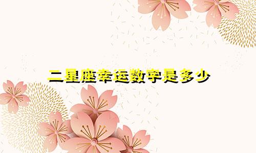 二星座幸运数字是多少
