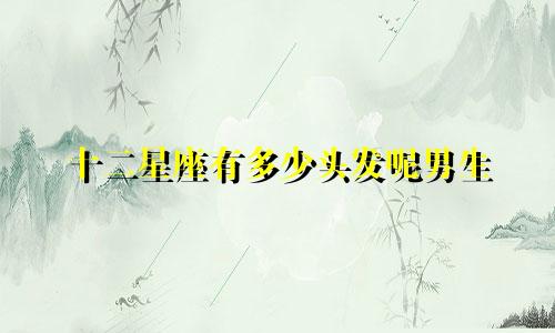 十二星座有多少头发呢男生