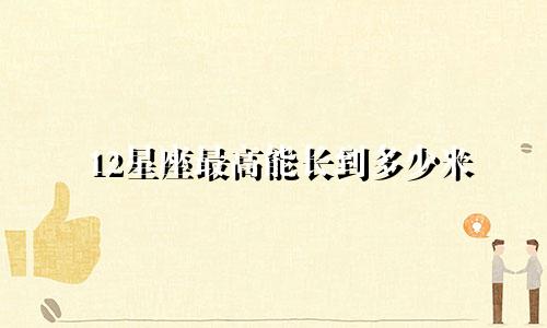 12星座最高能长到多少米
