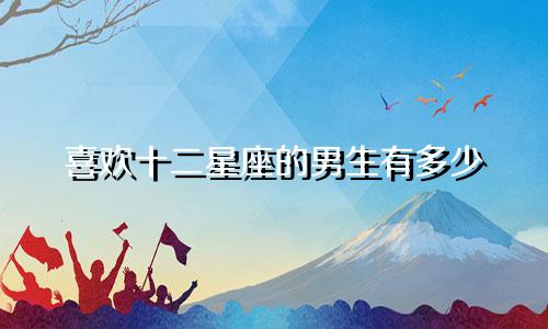 喜欢十二星座的男生有多少
