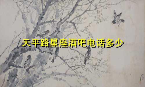 天平路星座酒吧电话多少